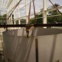IMG-20151209-WA0017